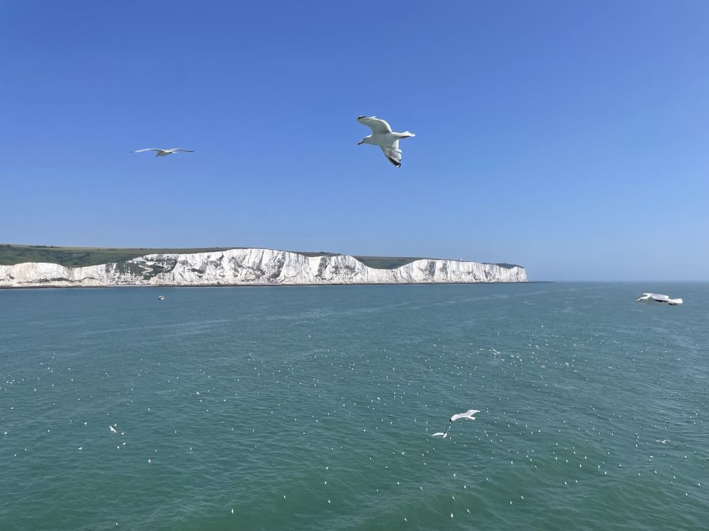 The White Cliffs of Dover