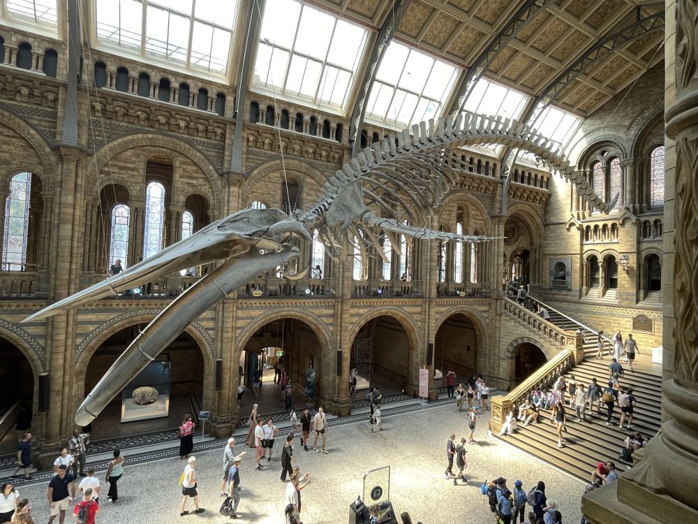 The Natural History Museum